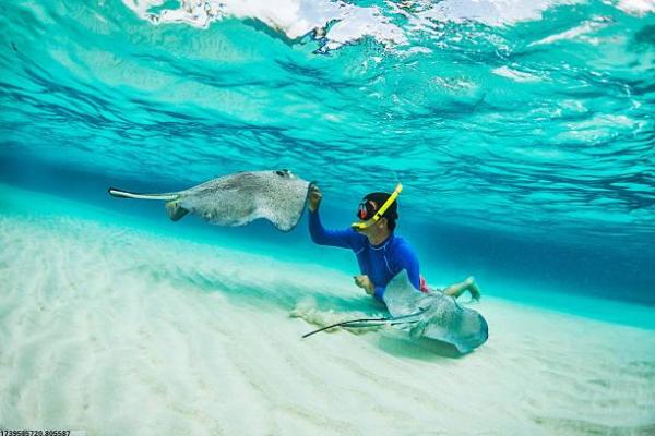 冬奥会中华传统体育项目的表现与传承