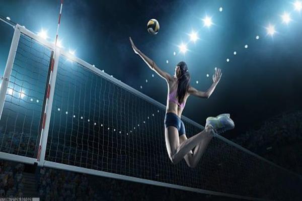 承接体育公园培训项目的公司介绍