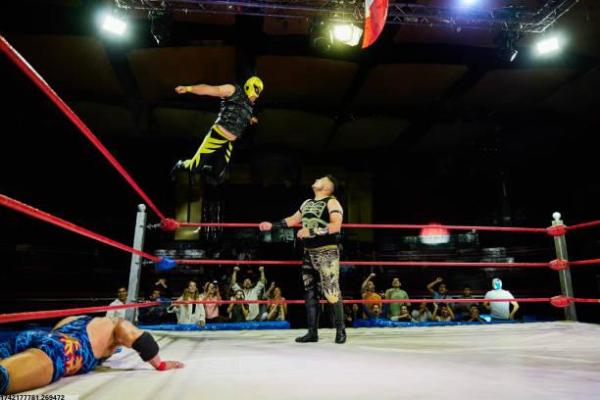 天津市体育培训机构企业排名