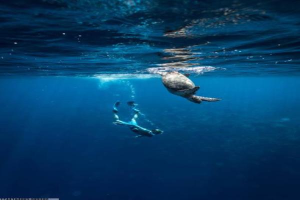朱家角站附近体育培训机构的选择