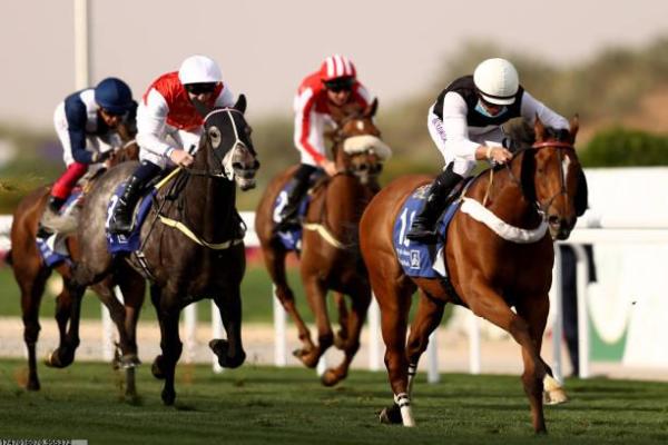 海康威视智慧体育项目：创新与发展