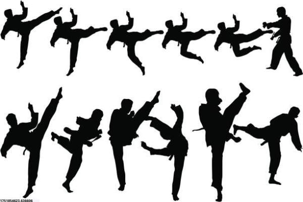 牡丹区高人气体育培训班大全