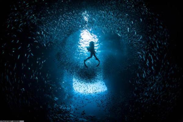 杨浦区初中体育教师培训计划